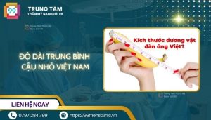 Độ dài trung bình cậu nhỏ của việt nam