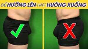 nên để cậu nhỏ hướng lên hay xuống