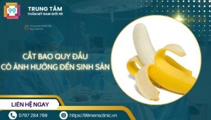 Cắt bao quy đầu có ảnh hưởng đến sinh sản